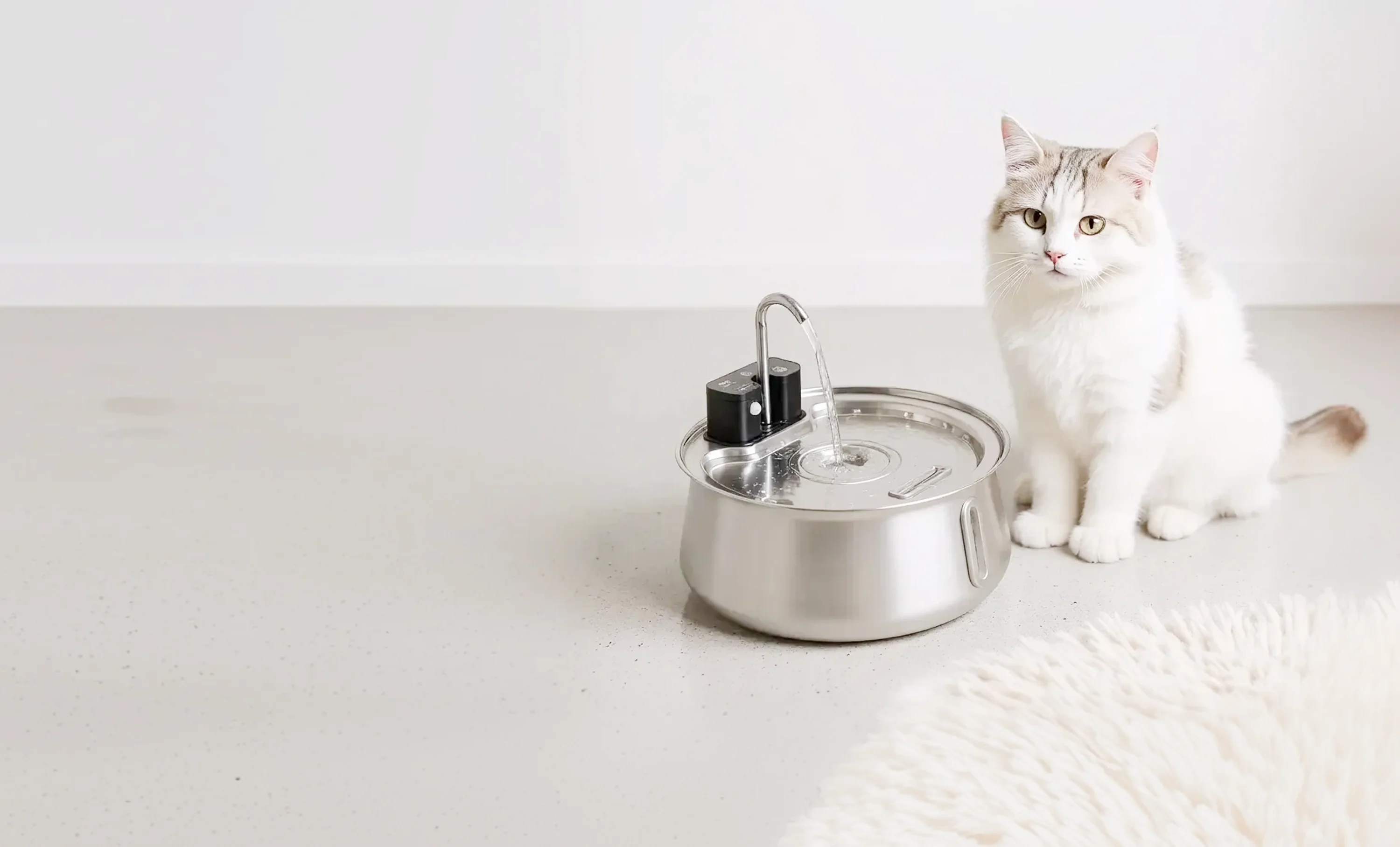 Fresh Water, Happier Cats
